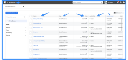 Creating Audience in Facebook Ads Manager