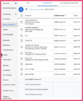 Google Ads extensions
