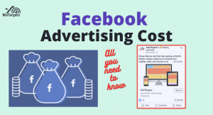 Facebook advertising cost