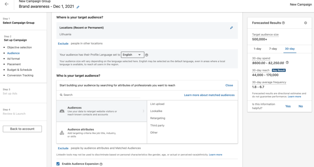 Linkedin audience setup