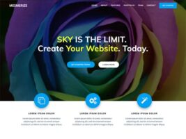 Mesmerize WordPress Theme