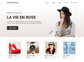 Responsive WordPress Theme