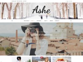 Ashe WordPress Theme