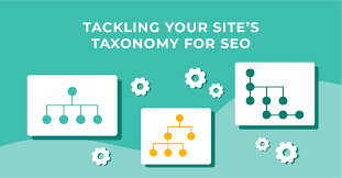 An image showing how to tackle site's taxonomy for SEO