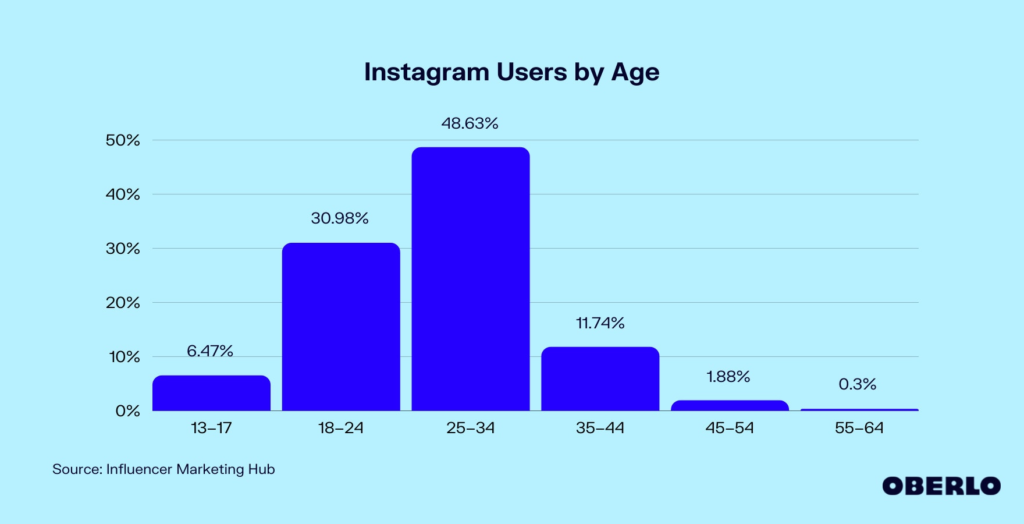 Instagram User Demographics Statistics