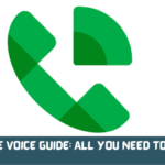 Google Voice Guide