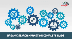 Organic Search Marketing