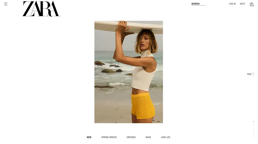 Zara's Website