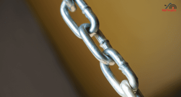7 Key Factors Influencing Natural Backlink Growth