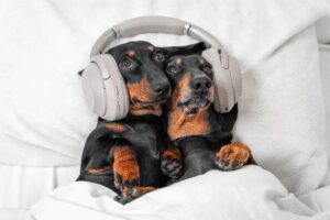 #5. Create Compelling, Listener-First Ad Creative