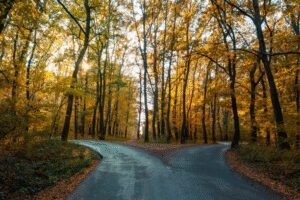 How to Choose the Right Self-Serve Ad Platform (Without Regretting It Later)