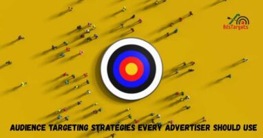 Audience Targeting Strategies