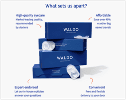 Example 2: Everything About Waldo’s Landing Page