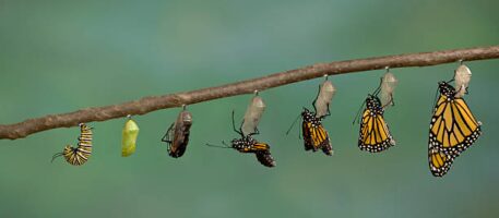 How to Boost Conversions With Ease & Convenience Power Words