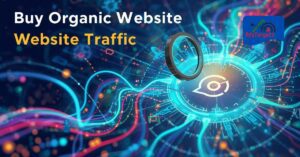 Buy Organic Website Traffic